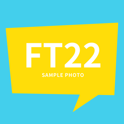 光月(コウゲツ)先生(FT22)